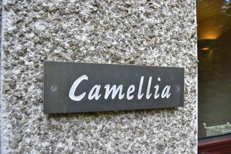 4BHK at Camellia